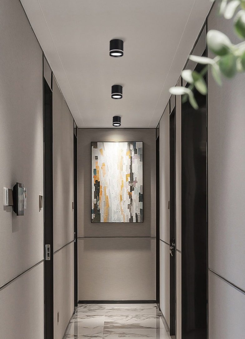 Светильник RG-TD1001B ЧЕРНЫЙ ` D80/H100/1/LED/10W/4000K RSP 24-12